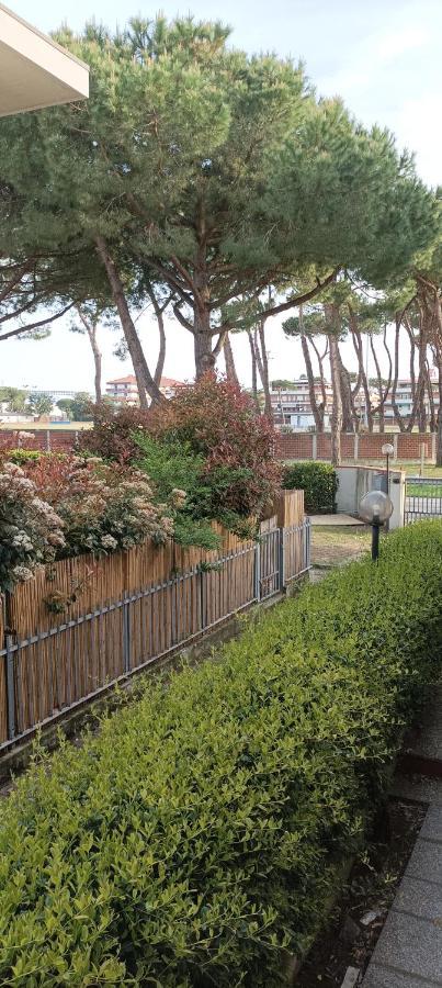 La Casina Di Ale Apartment มารีนาดีคาร์รารา ภายนอก รูปภาพ